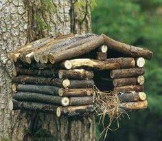 a bird house made out of logs in the middle of a tree trunk and surrounded by branches