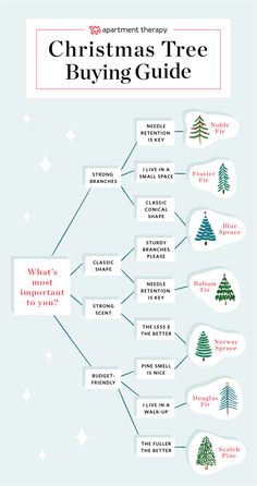 the christmas tree buying guide is shown in this graphic diagram, which shows how to buy and