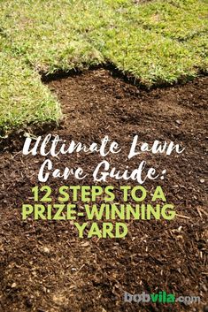 the ultimate lawn care guide for 12 steps to a prize winning yard with text overlay