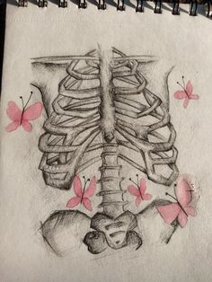 a drawing of a human skeleton with butterflies on its chest and ribs in the back