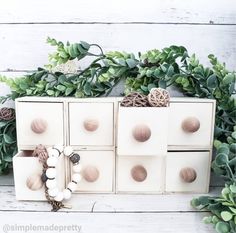 an arrangement of seashells and succulents in white boxes