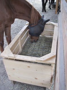 a brown horse eating hay from a wooden trough