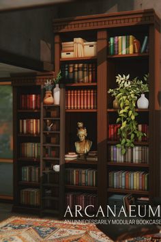 there is a bookcase with many books on it and some plants in the corner