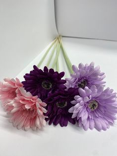 three purple and pink flowers sitting on top of a white table