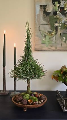 a potted pine tree sitting on top of a wooden table next to two candles