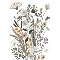 Wildflower Bouquet 2 Poster Print - Prints Design Petals-VARPDXPPD0367 Image 1 Vintage Botanical Prints Flowers, Bouquet Art, Prints Design, Wildflower Bouquet, Vintage Botanical Prints, Black And White Illustration, Art Licensing, Love Drawings, Stock Paper