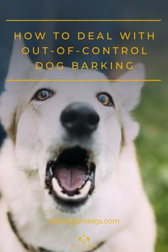 a dog with its mouth open and the words how to deal with out - of - control dog barking