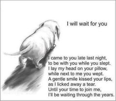 a drawing of a dog with the words i will wait for you