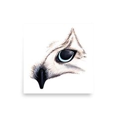 an animal's eye is shown on a white paper with black and blue accents