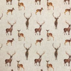 an image of many deers on a white background