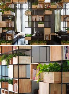 multiple shots of different shelves with plants in them and bookshelves on the wall