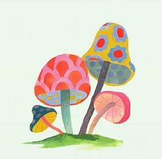 an image of colorful mushrooms in the grass