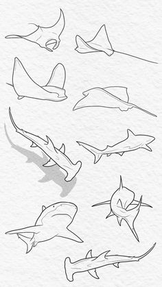 Save = Follow | Creative Tattoos by  Myra Stiles Simple Stingray Tattoos, Fine Line Aquatic Tattoo, One Line Stingray, Ocean Aesthetic Doodles, Line Art Tattoos Animals, Sea Animal Line Art, Moveable Tattoo, Stingray Rib Tattoo