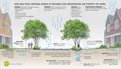 Urban Agriculture, Drainage System, Green Street, Water Management, Rain Garden, Green City