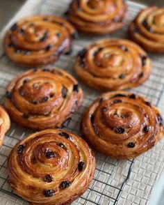 several cinnamon rolls on a cooling rack with raisins in the foreground and chocolate chips in the middle