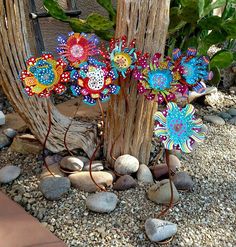 several colorful flowers are placed next to some rocks