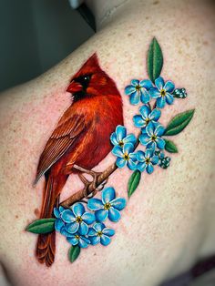 Red photo realistic Cardinal on a branch with flowers shoulder tattoo by Megan Massacre Realism Cardinal Tattoo, Branch Shoulder Tattoo, Cardinal Memorial Tattoo, Shoulder Bird Tattoo, Minimalist Cardinal Tattoo, Flying Cardinal Tattoo, Dainty Cardinal Tattoo, Cardinal Tattoo Memorial, Cardinal On A Branch