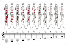 an image of musical instruments with red dots on the top and bottom, along with music notes