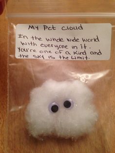 a plastic bag with a fake white cloud in it and a note attached to it