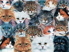 many different colored cats are shown together