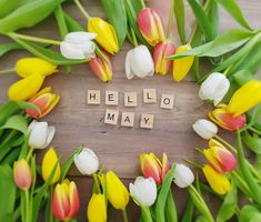 the word hello may spelled in scrabble letters surrounded by tulips and other flowers