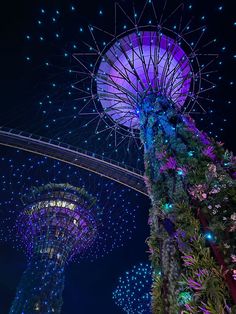 gardens by the bay at night lit up with lights and trees in front of them