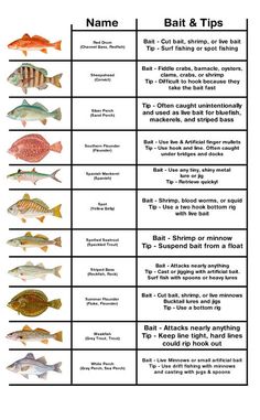 the different types of fish and their names