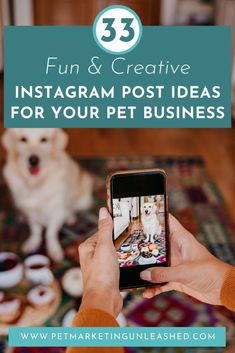 a person taking a photo with their dog on the floor and text overlay that reads 35 fun & creative instagram post ideas for your pet business