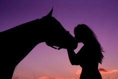 a woman standing next to a horse at sunset