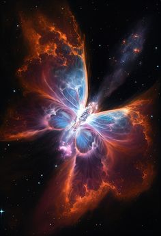 an image of a butterfly shaped object in the sky with stars and dust around it