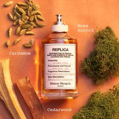 Replica Perfume, Replica Jazz Club, Cedar And Moss, Fragrance Finder, Margiela Replica, Earthy Fragrance, Fresh Spices, Carrot Seeds, Spicy Fragrance