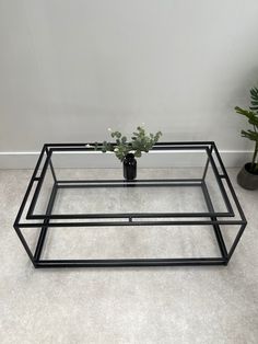 a glass coffee table with two plants on top and one plant in the middle, against a white wall