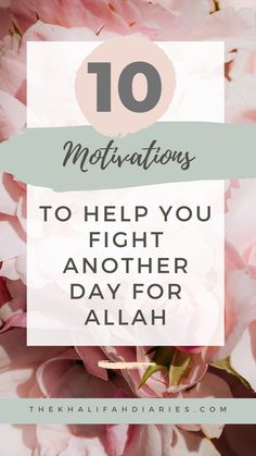 When you feel like giving up on the road to success, know that Allah’s help is always near and that you can call Him anytime you need Him. Don’t let your fears and insecurities get in the way of reaching your highest potential.#loveAllah #muslimmotivation #striveforAllah #liveforAllah #understandQuran Respect Your Parents, The Road To Success, Road To Success, Life Words, Meaningful Life