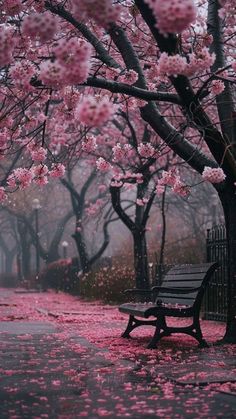 a park bench in the rain with pink flowers on it's trees and ground