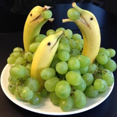 bananas and grapes with faces made to look like birds sitting on top of each other