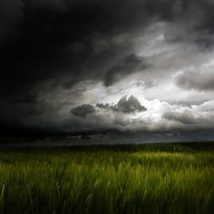 the sky is filled with dark clouds and green grass