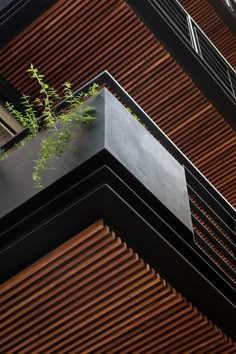 a plant is growing out of the corner of a building's balconies