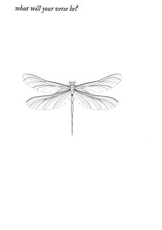 a black and white drawing of a dragonfly with the caption what will your exercise be?