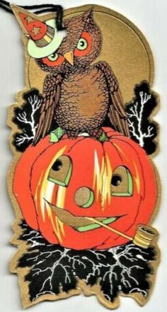 an owl sitting on top of a pumpkin with a jack - o'- lantern