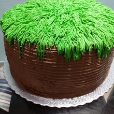 a chocolate cake with green frosting and grass on top