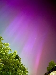 an aurora bore is seen in the sky above some trees and buildings, with green leaves on