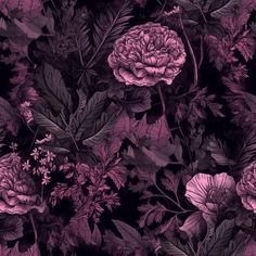 purple flowers and leaves on a black background with pink highlights in the center, as well as dark green foliage