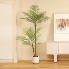 a palm tree in a white planter next to a dresser