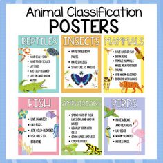 an animal poster with the words reptiles insects mammals and other animals on it