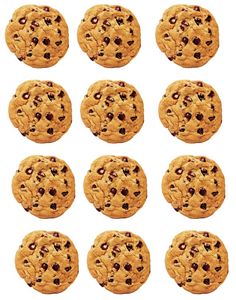 chocolate chip cookies arranged in rows on a white background