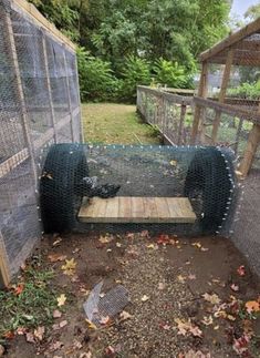 a large bird cage in the middle of a yard with leaves on the ground next to it