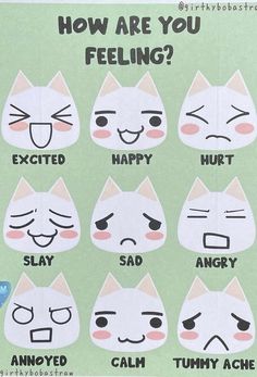 a poster with instructions on how to use cat's face expressions for feelings and feelings