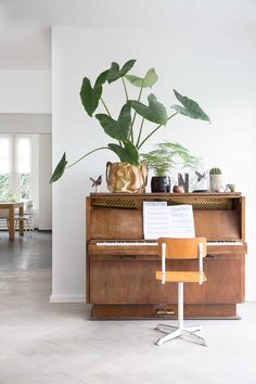 an open magazine with a piano and potted plants