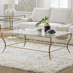 a living room filled with furniture and a white rug