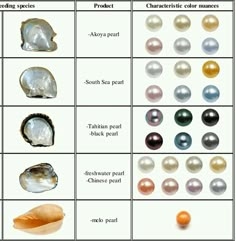 Gemstones Chart, Jewelry Education, Pearl Stone, Minerals And Gemstones, Pearl Color